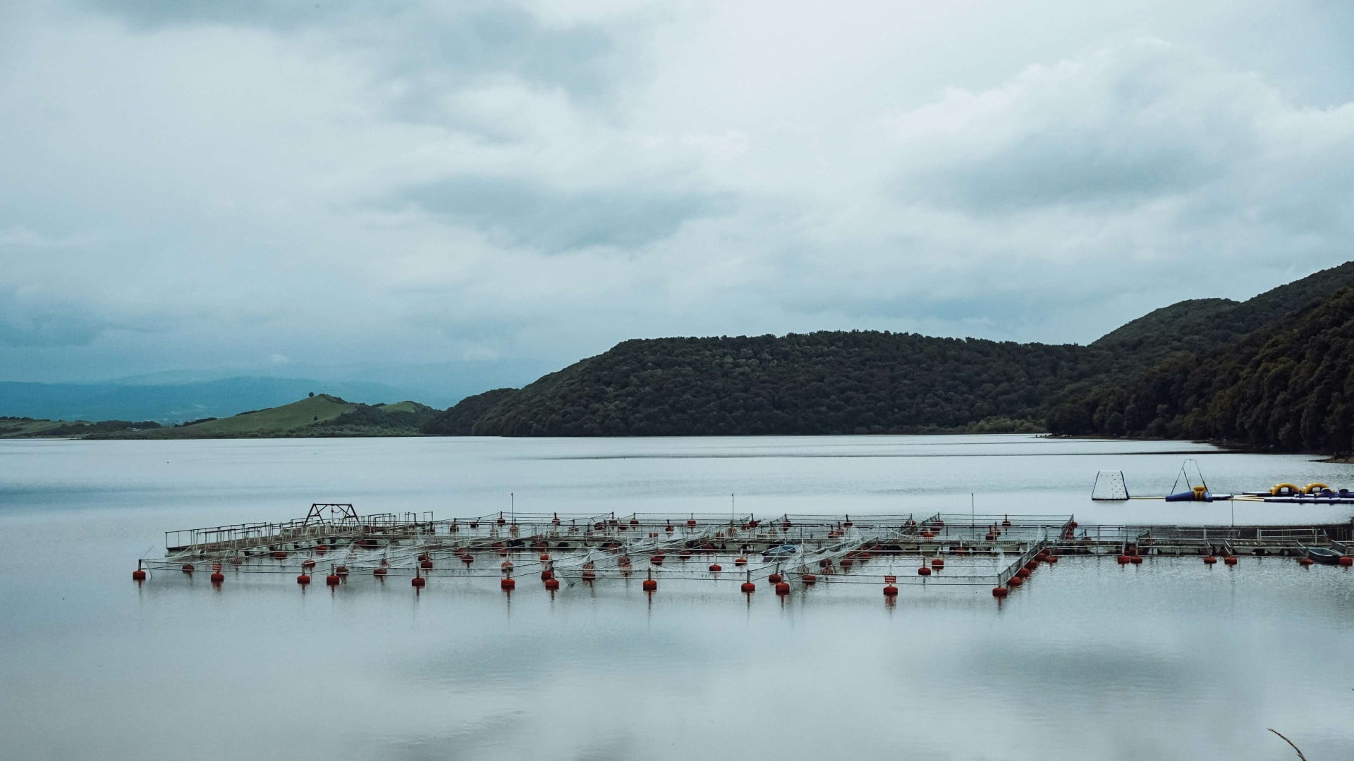 Global Aquaculture Insurance Consortium