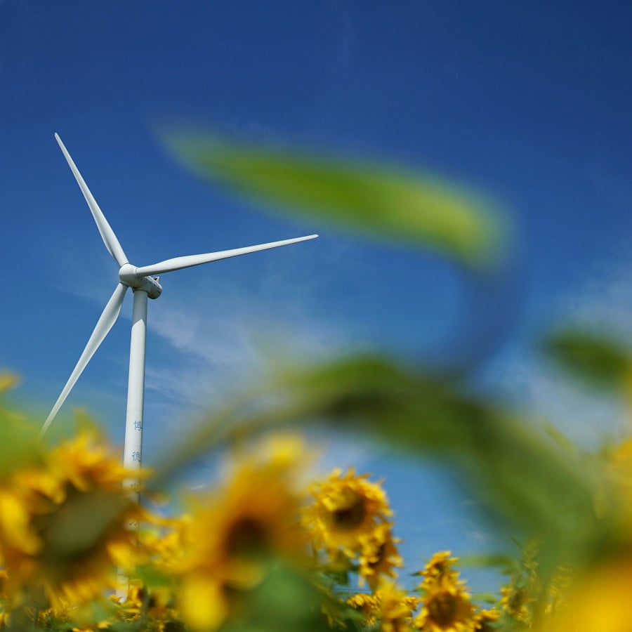 Supporting environmental progress