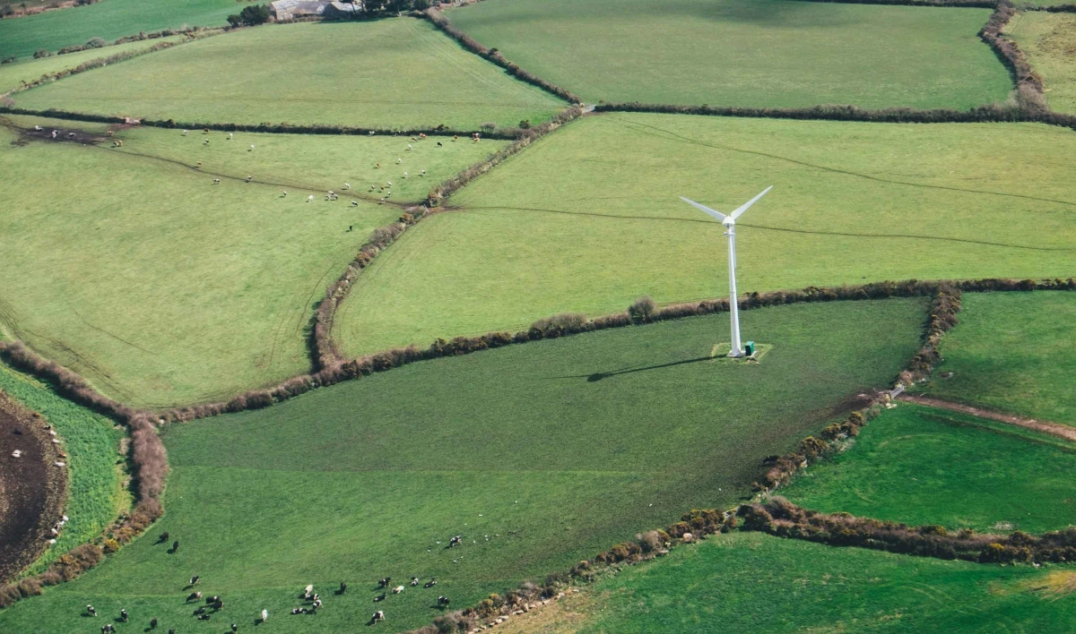 Developments in climate change litigation exposures and coverage issues for energy insurances