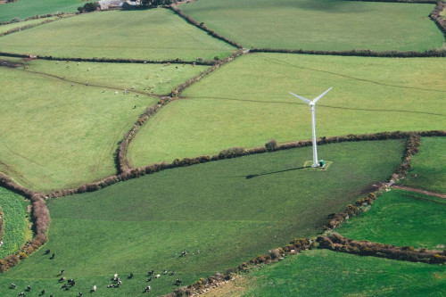 Developments in climate change litigation exposures and coverage issues for energy insurances