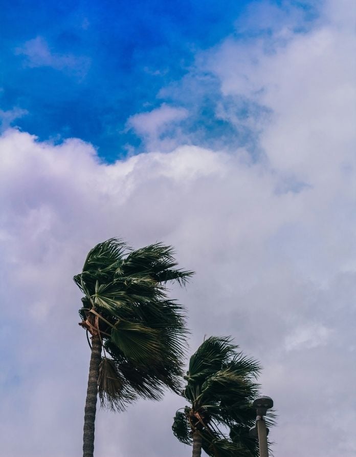 Parametric Solutions   Windstorm coverage   article sidebar