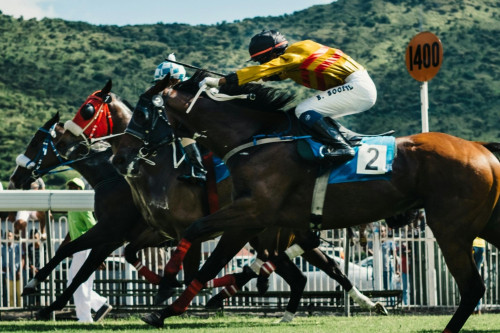 Syndicated Racehorse Ownership