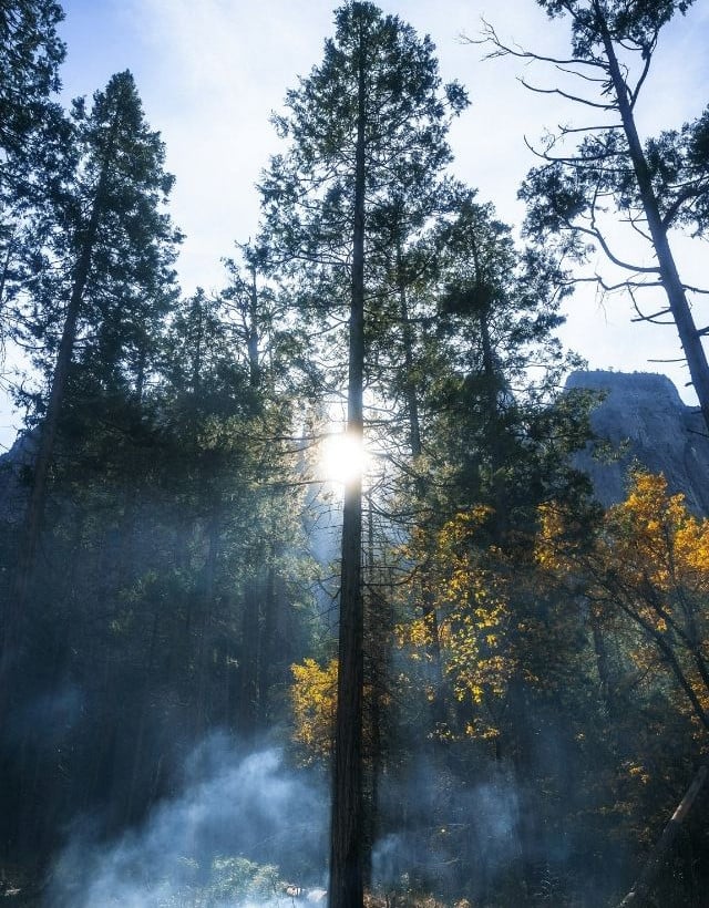 Wildfire Smoke