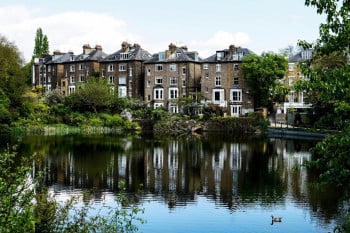Licenced Conveyancers - Your Road To Renewal With Miller
