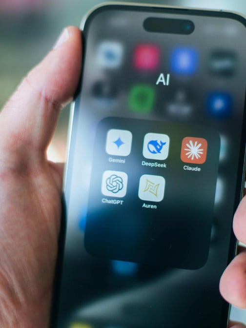 The importance of effective risk control mechanisms to monitor the use of AI