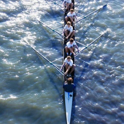 Delegated Authorities (2)