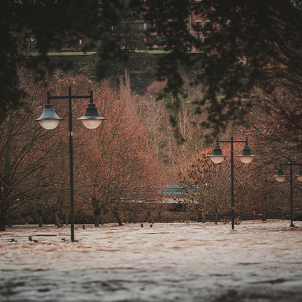 Reinsurance