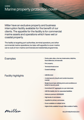 Miller's Marine property protection cover