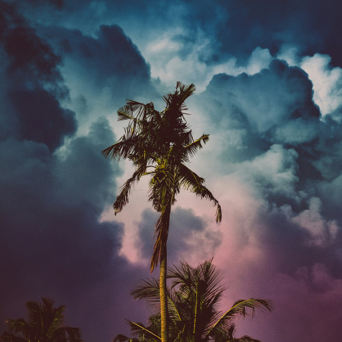 saiph muhammad jmOjIHZp10A unsplash