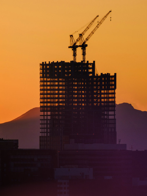 COVER nichika sakurai w16Jhg7J4g0 unsplash copy