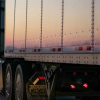 Stock Throughput Insurance
