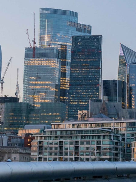 Political Risks for Financial Institutions