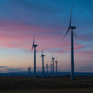 dan meyers vouoK daWL8 unsplash