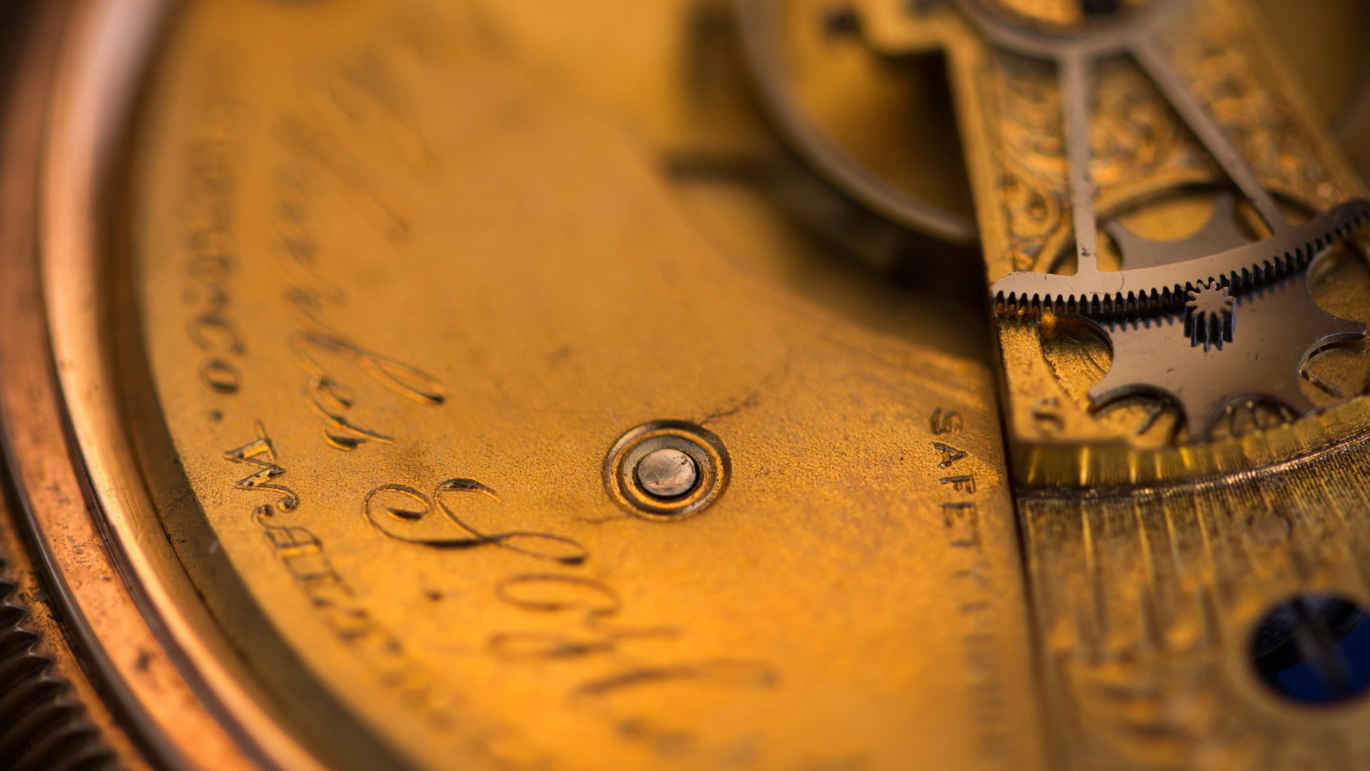 Fine art and collectibles insurance