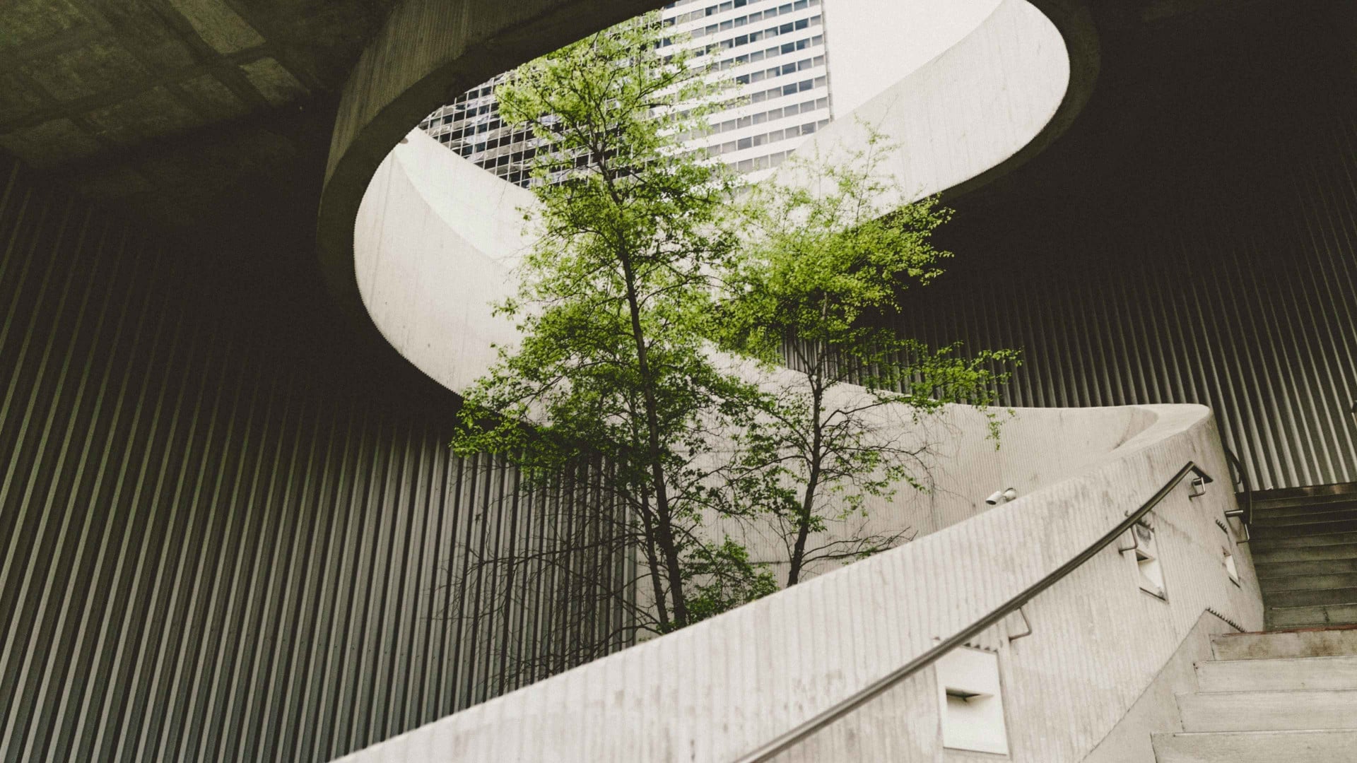 Environmental Insurance