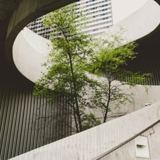 Environmental Insurance