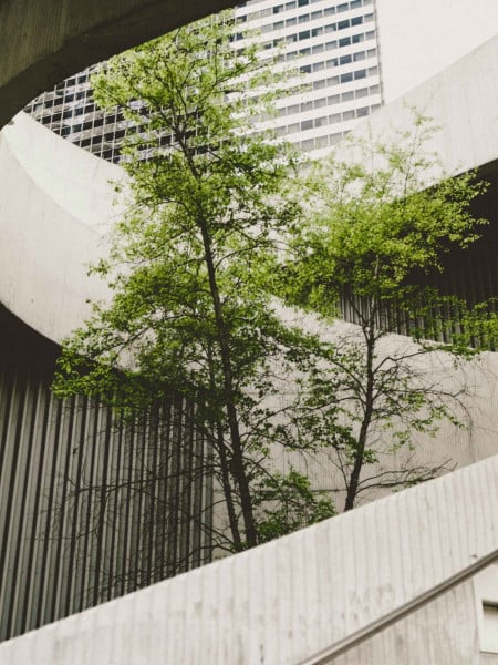 Environmental Insurance