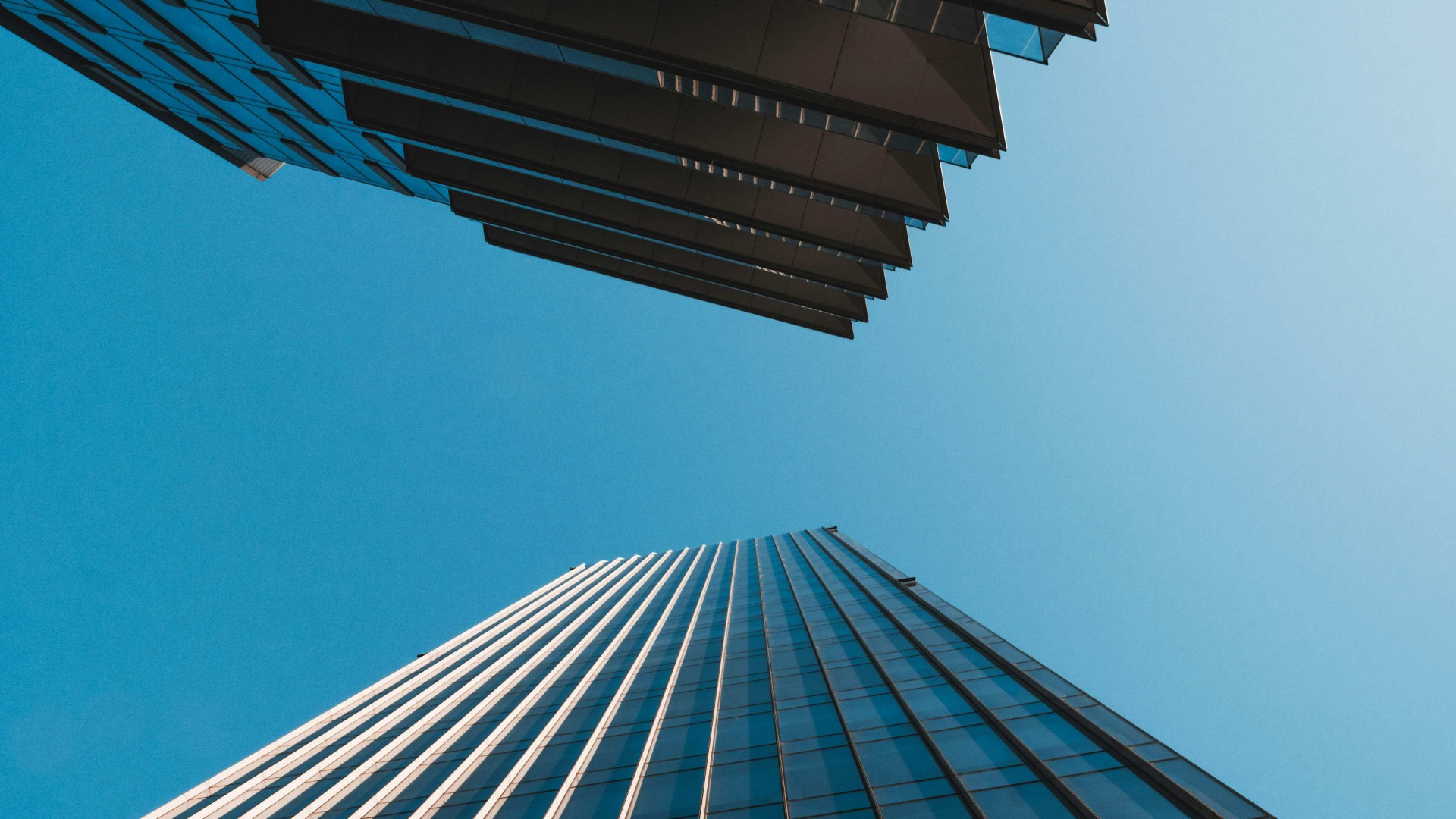 Intellectual Property (IP) Insurance