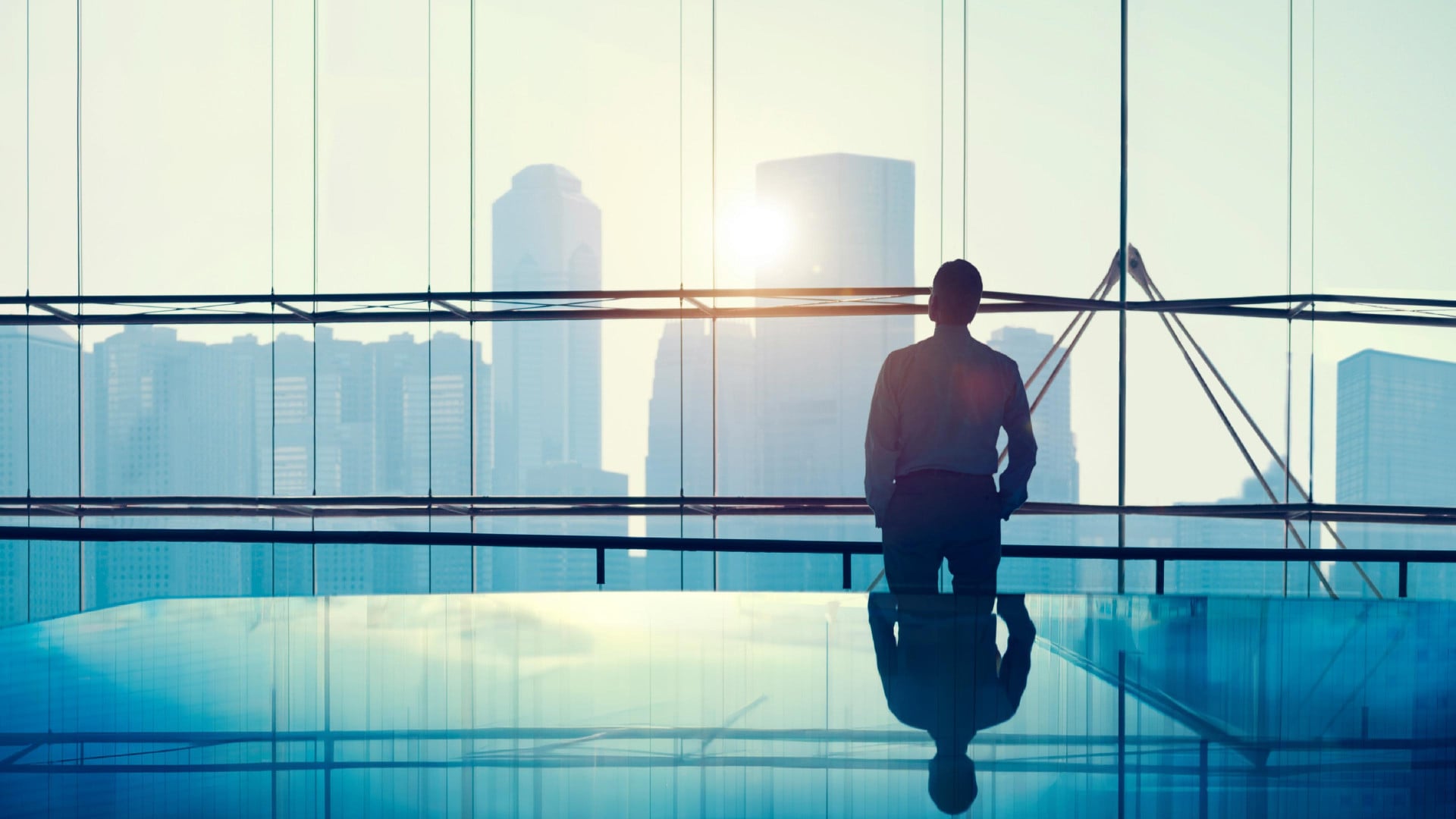Warranty & Indemnity Insurance
