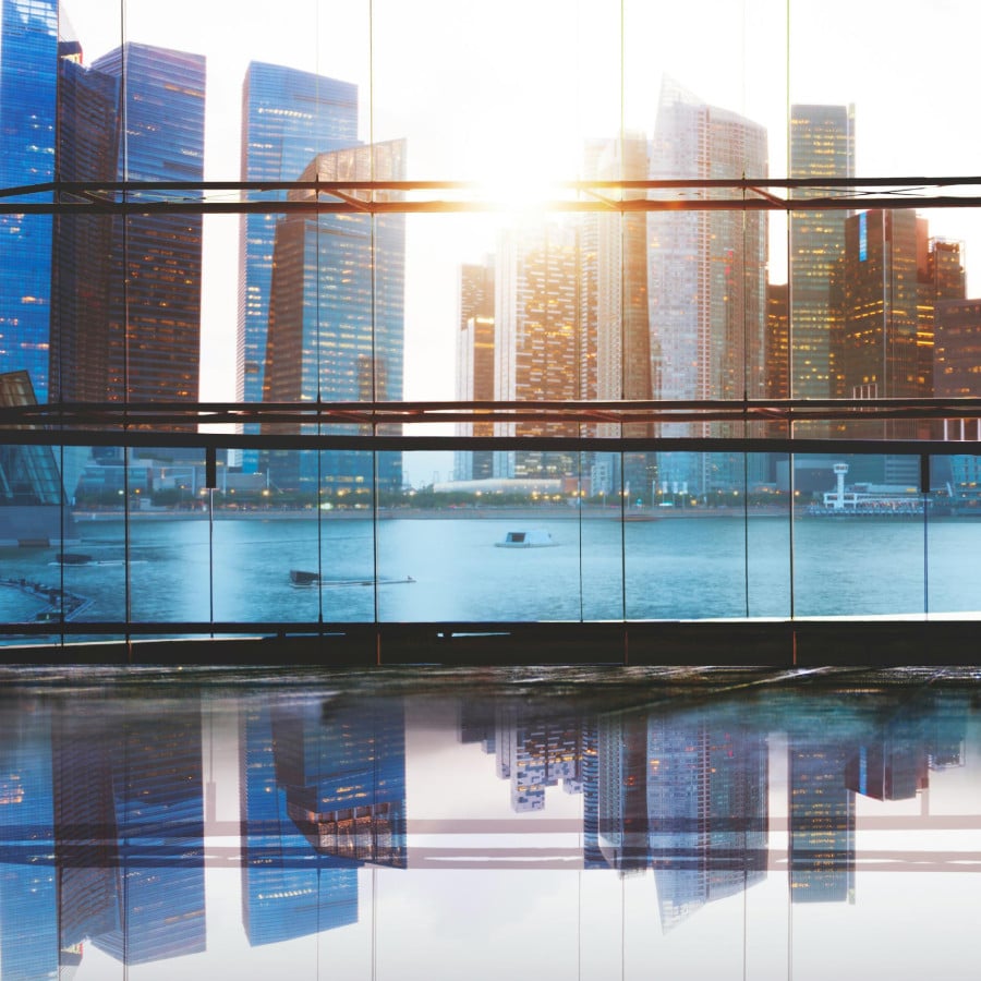 what is warranty and indemnity insurance