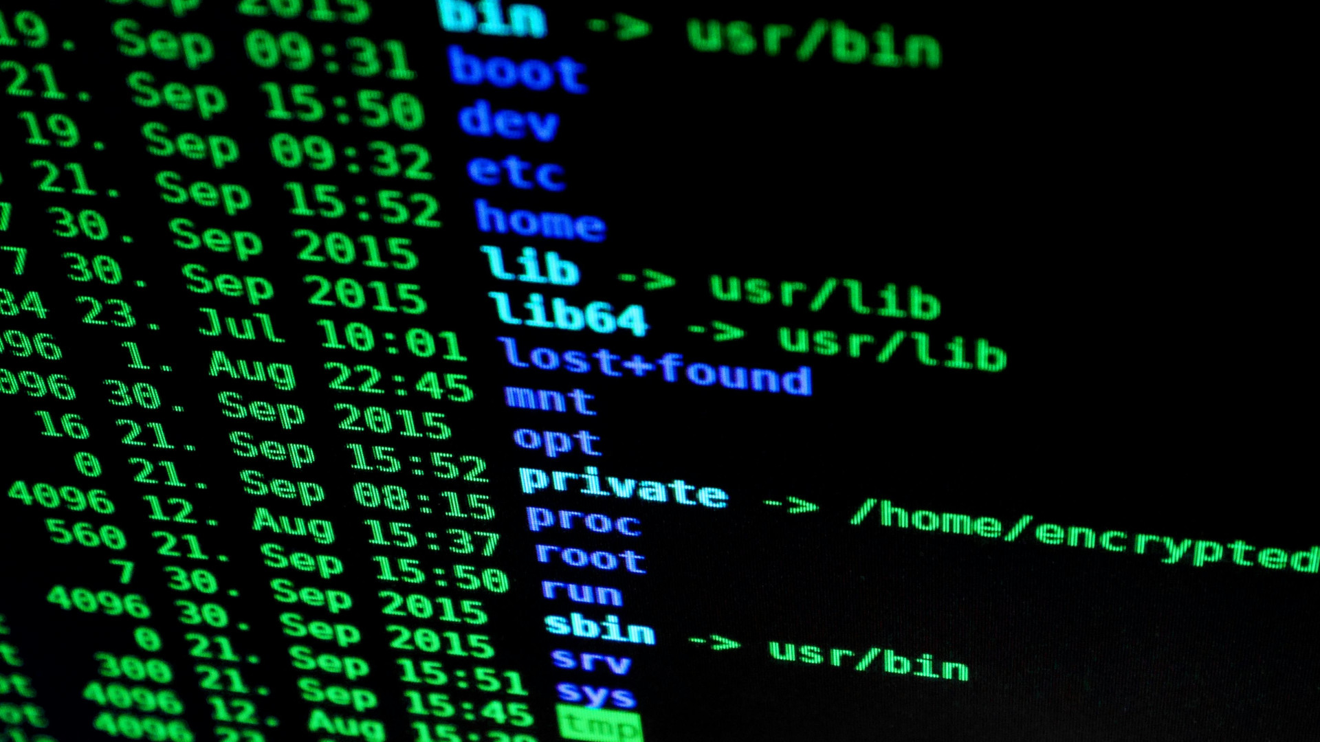 Cyber Liability Insurance Law