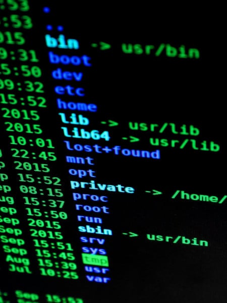 Cyber Liability Insurance Law