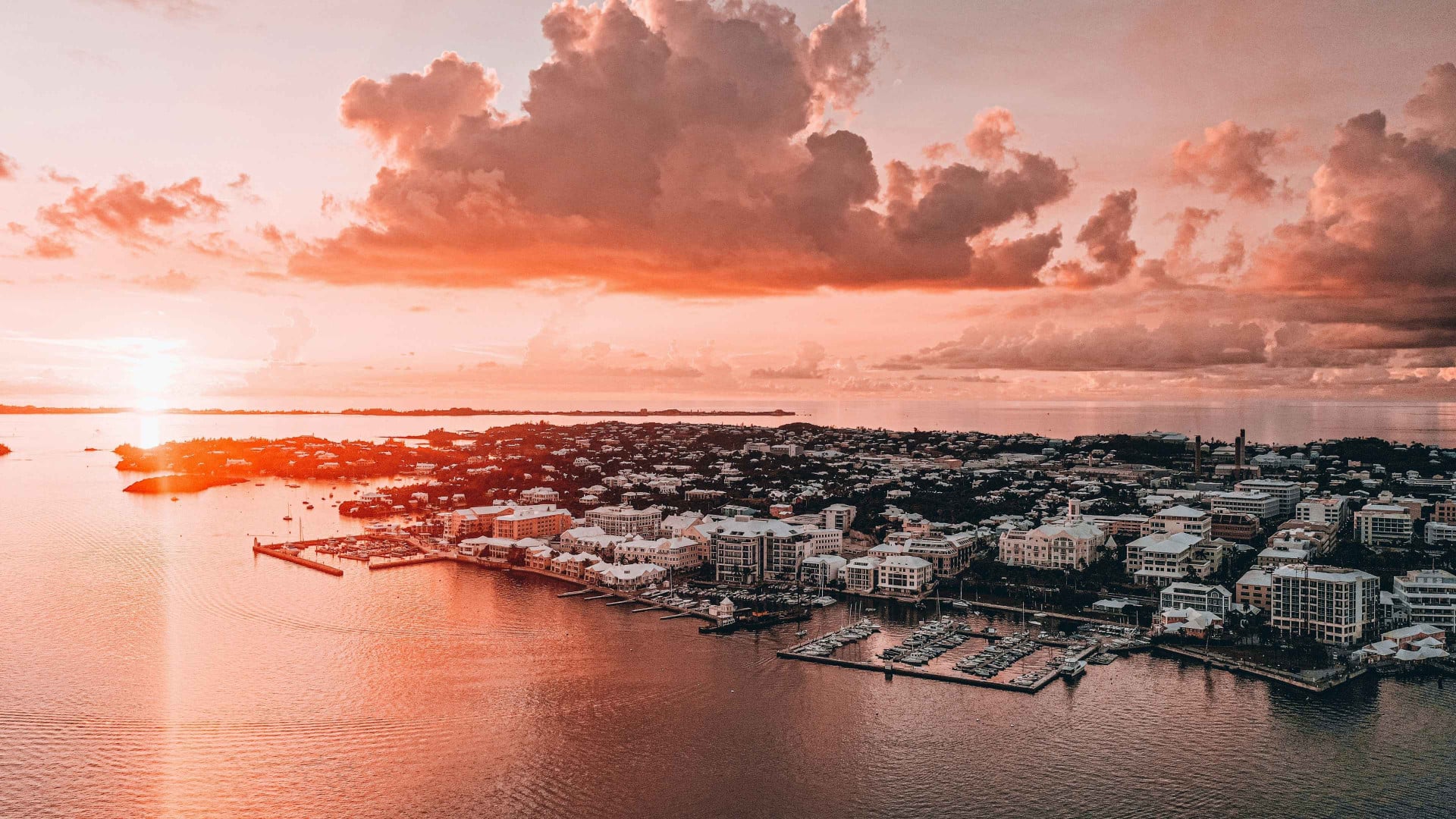 Bermuda Treaty Insurance