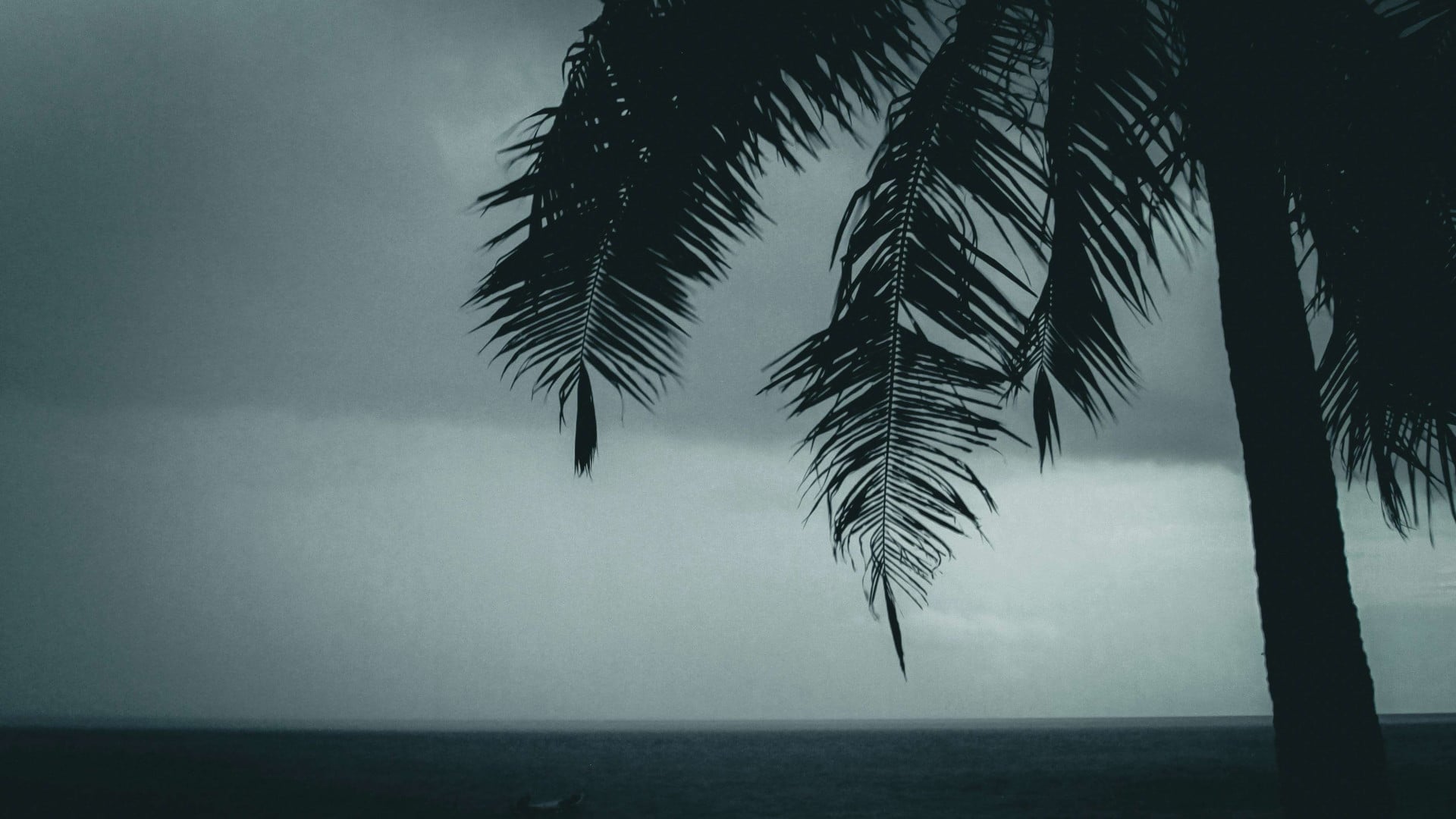 Caribbean Reinsurance