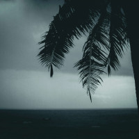 Caribbean Reinsurance