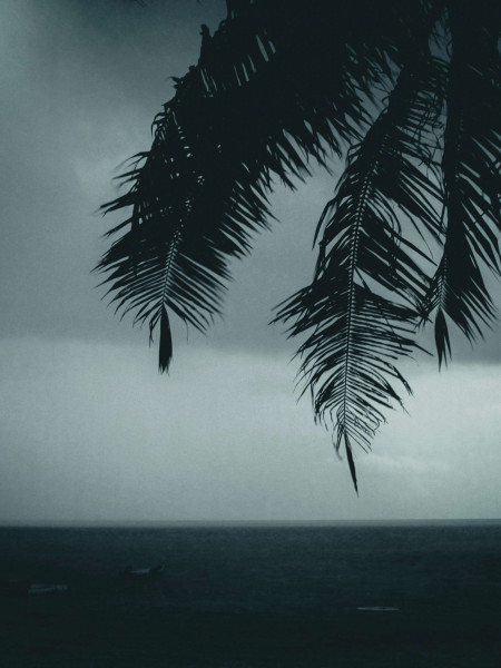 Caribbean Reinsurance