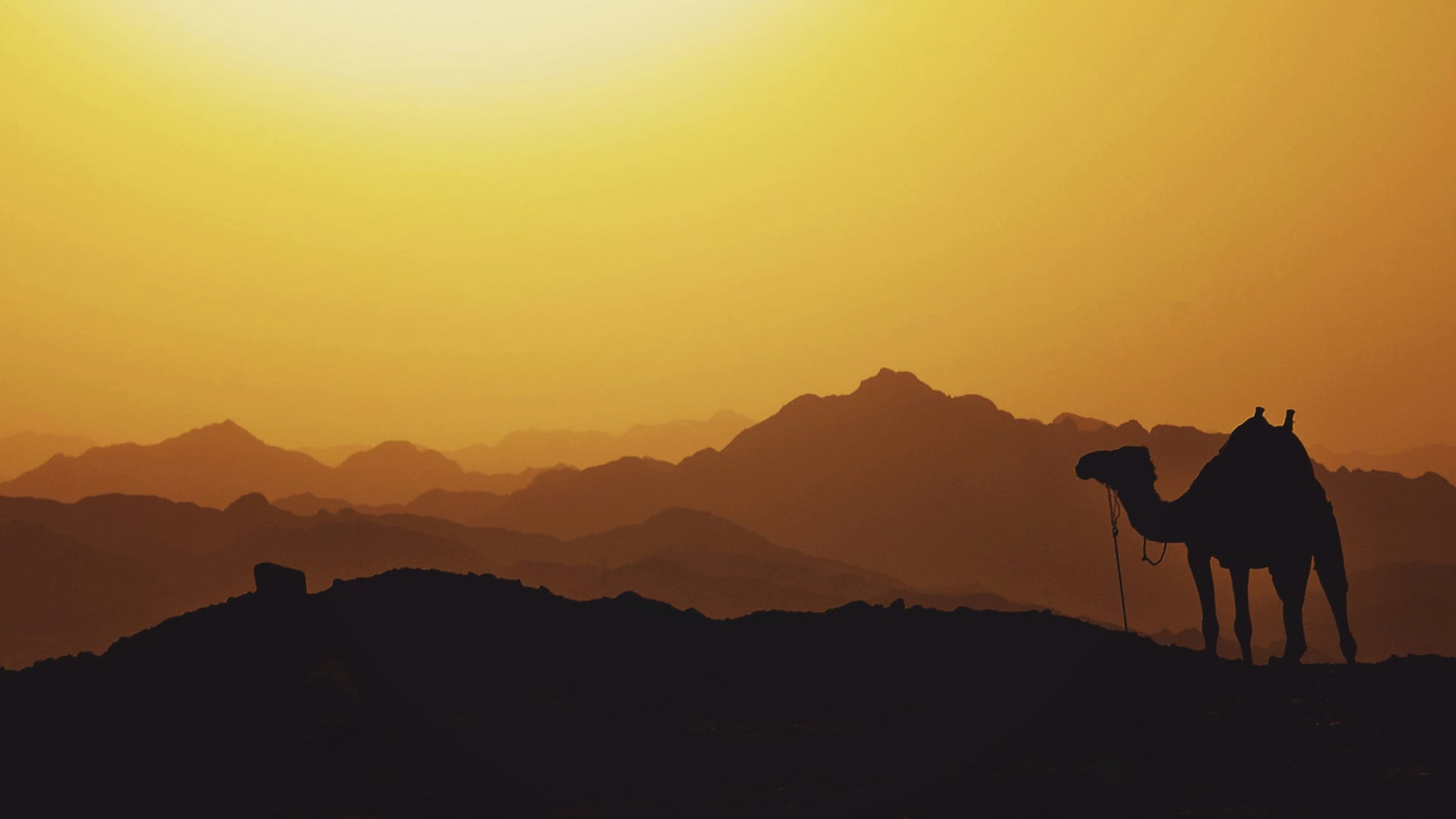 MENA Treaty Reinsurance (2)
