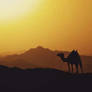 MENA Treaty Reinsurance (2)