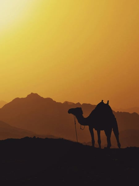 MENA Treaty Reinsurance (2)