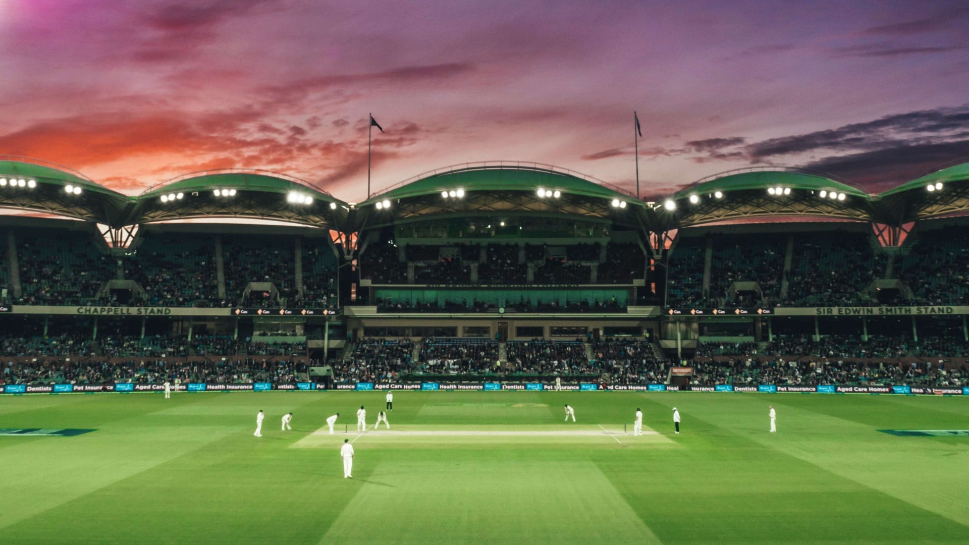 Cricket Insurance