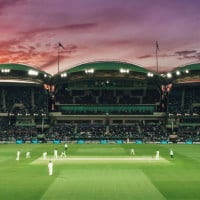 Cricket webpage hero
