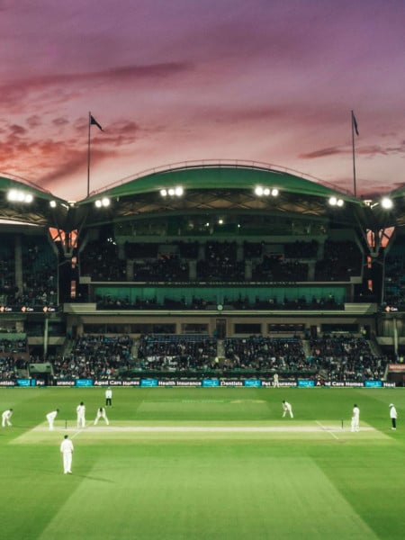 Cricket webpage hero