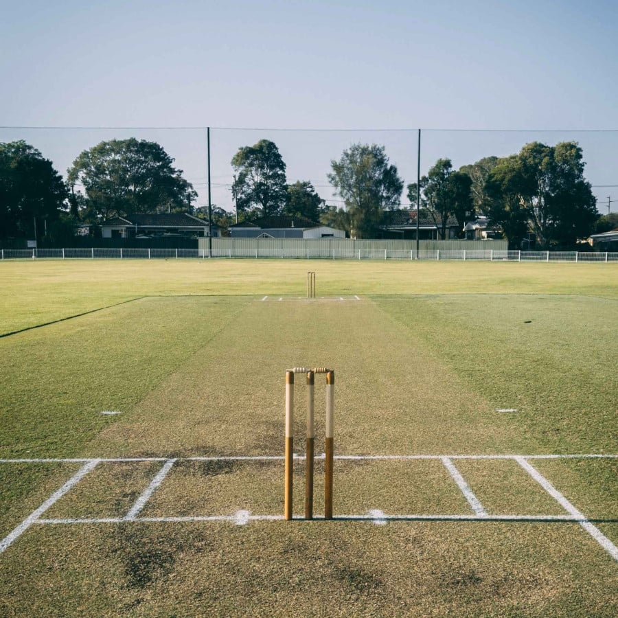 Franchise Cricket insurance pitch