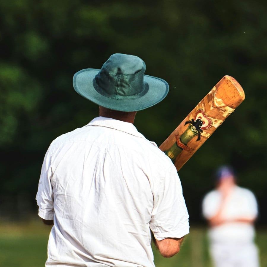 Franchise Cricket insurance player