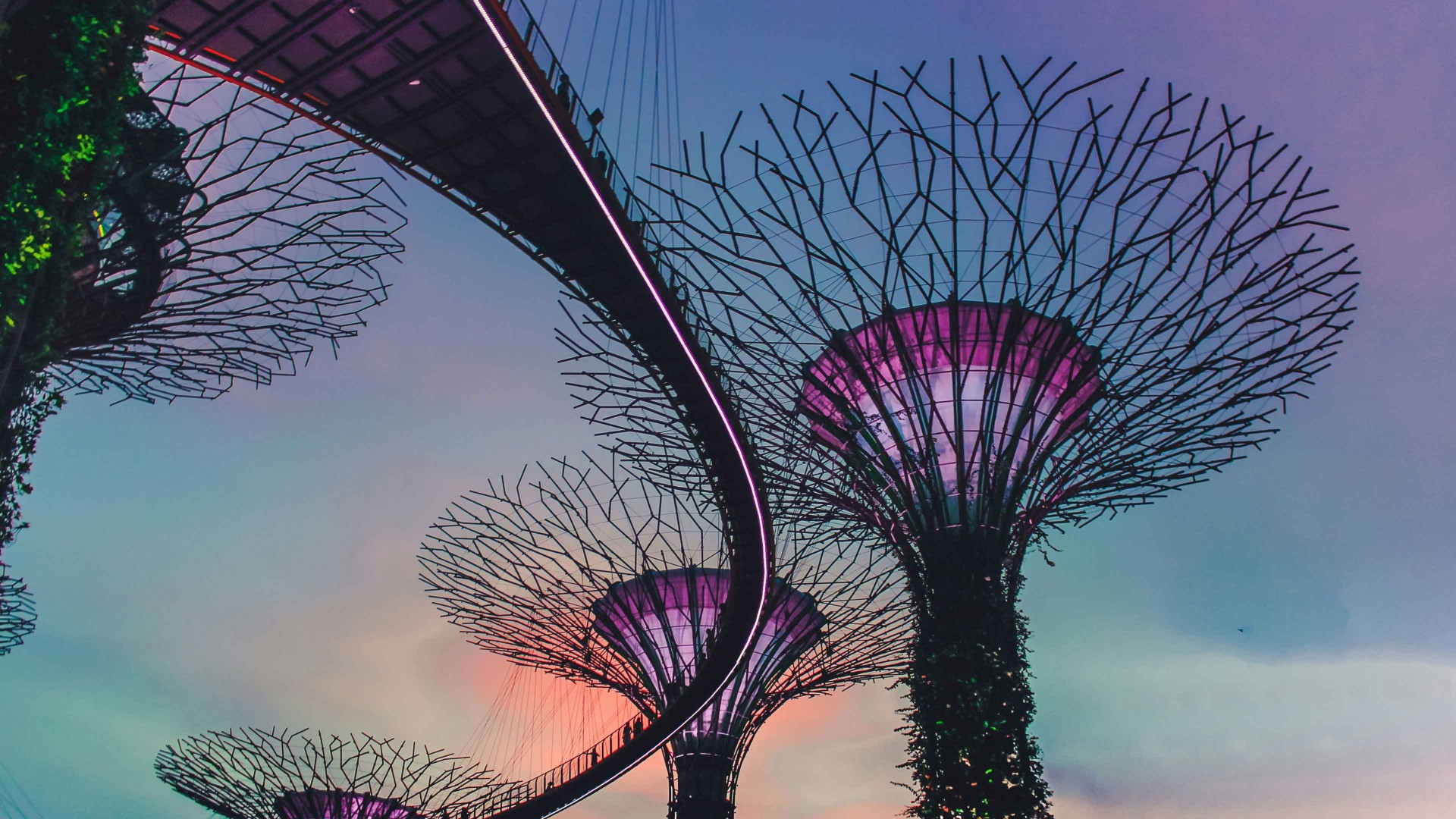 International reach Asia