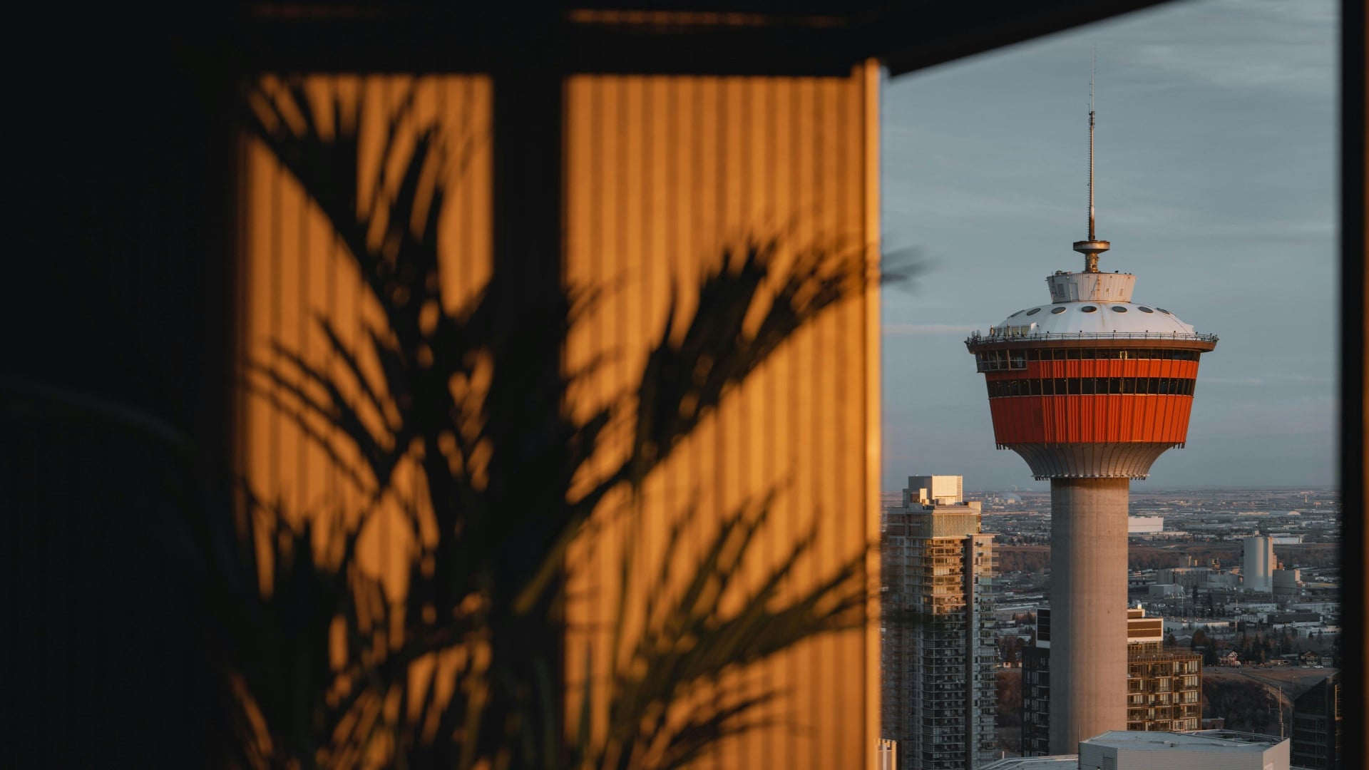 International reach Canada