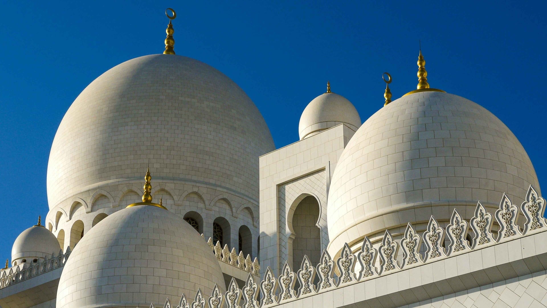 International reach MENA