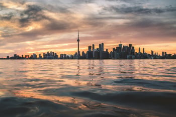 North American bulletin April 2025