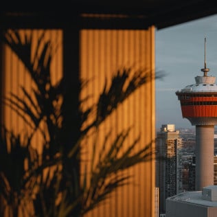 Brown wall with palm leaves shadow and CN tower in background