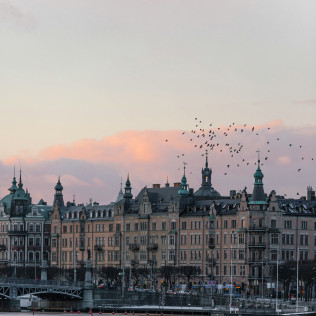 marten bjork zr zkaQd7f4 unsplash