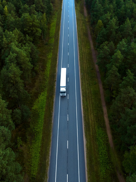 Transportation lorry web