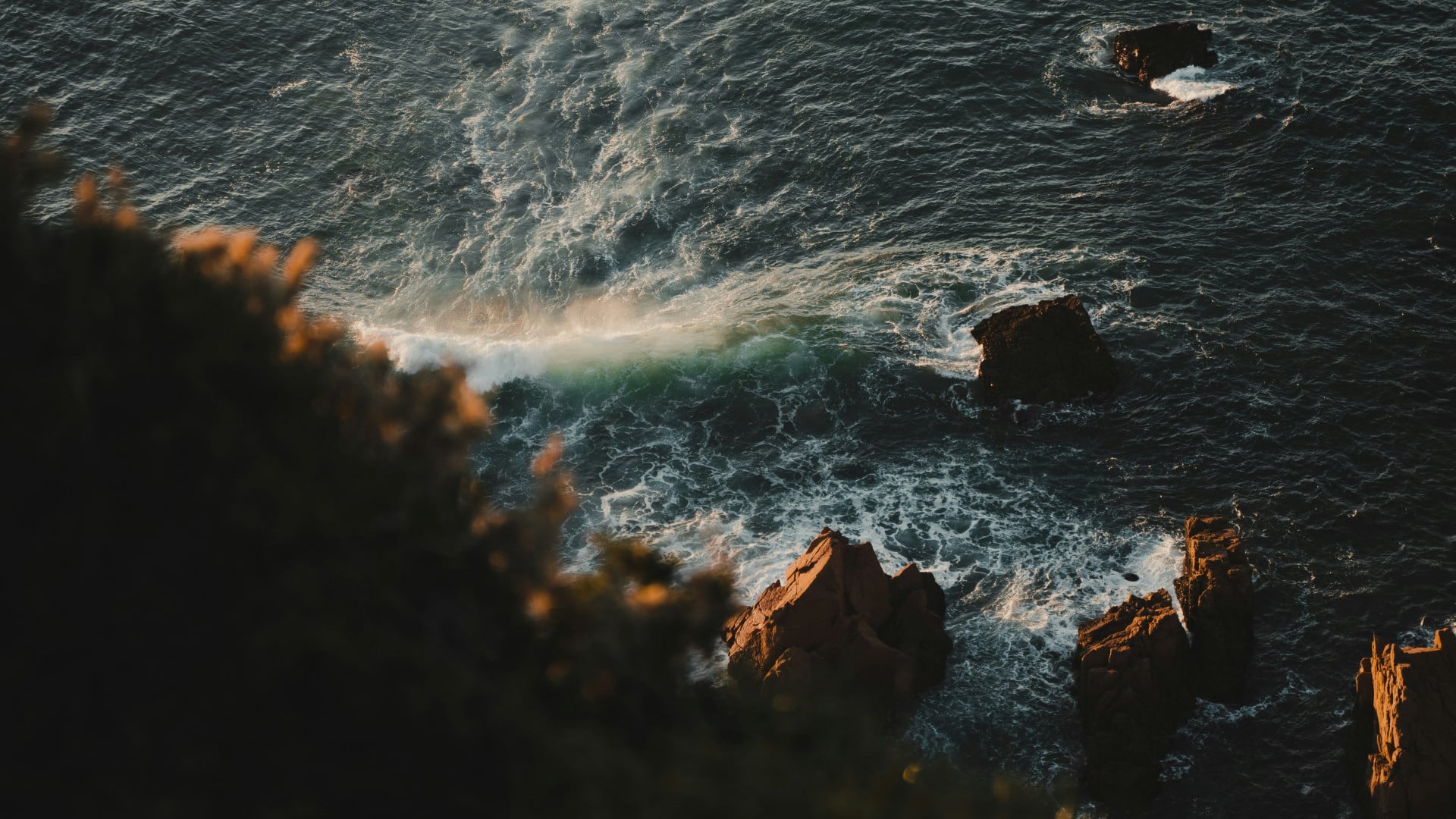 michiel annaert nE9eUMw8SV0 unsplash